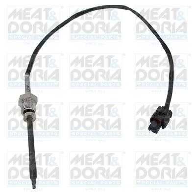 Sensor, exhaust gas temperature